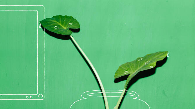 TOPdesk Plant Ad